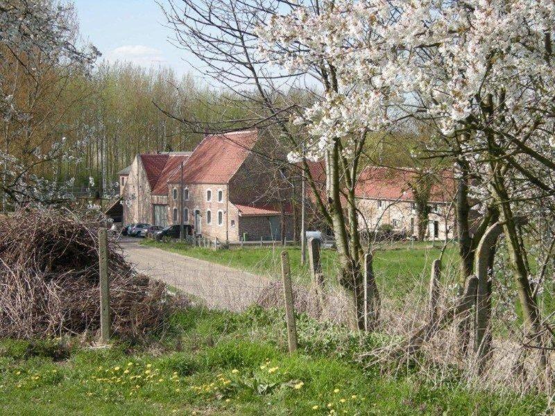 De Verborgen Parel B&B Borgloon Exterior foto