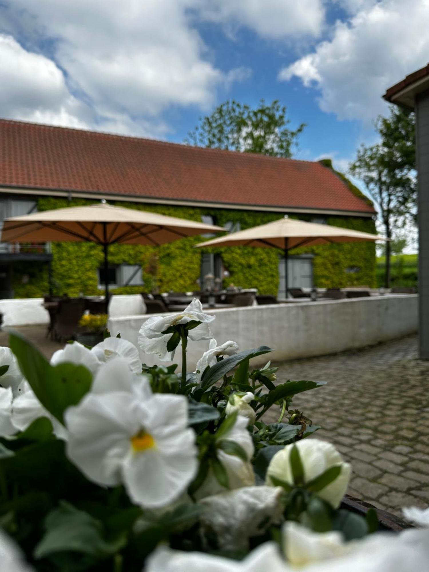De Verborgen Parel B&B Borgloon Exterior foto